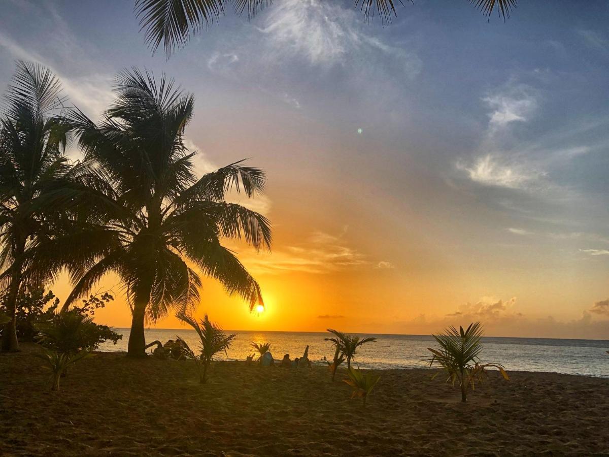 O Coeur De Deshaies Appartements Grande Anse Et Amandiers Exterior foto