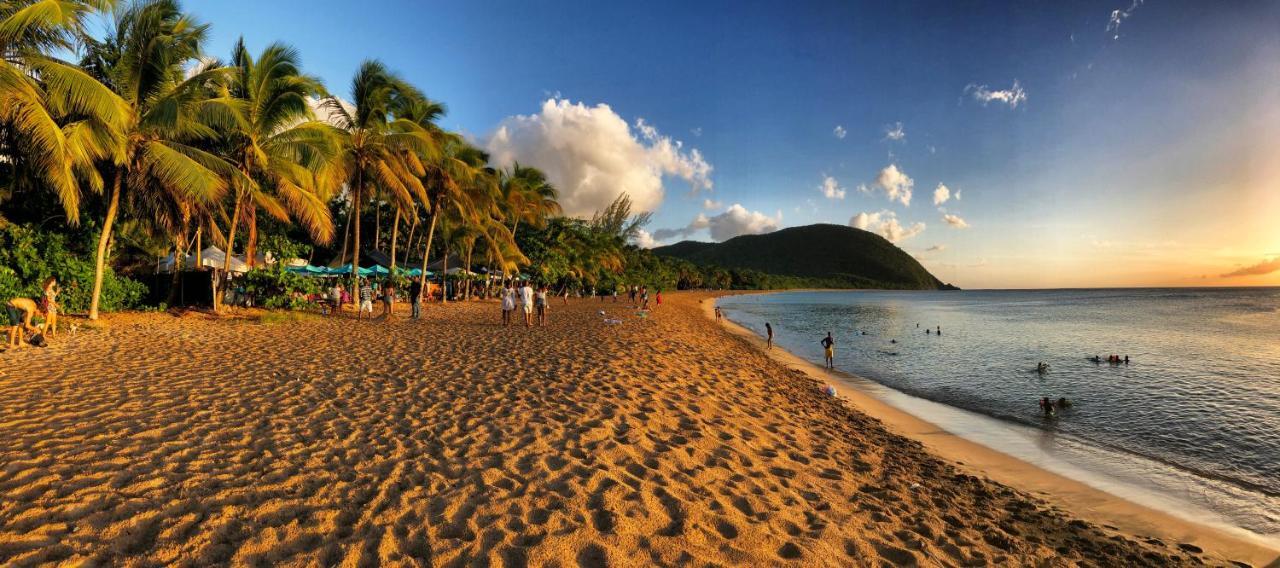 O Coeur De Deshaies Appartements Grande Anse Et Amandiers Exterior foto